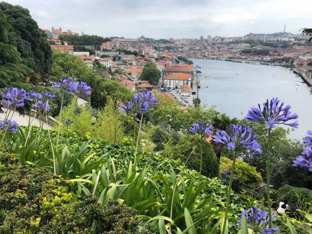 istock Portugal Porto 5 1453865774