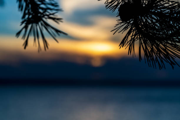 A dramatic Elliott Bay Sunset view near Seattle, Washington.