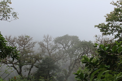 View from the highest point in the Osa Peninsula: Rincón Hill