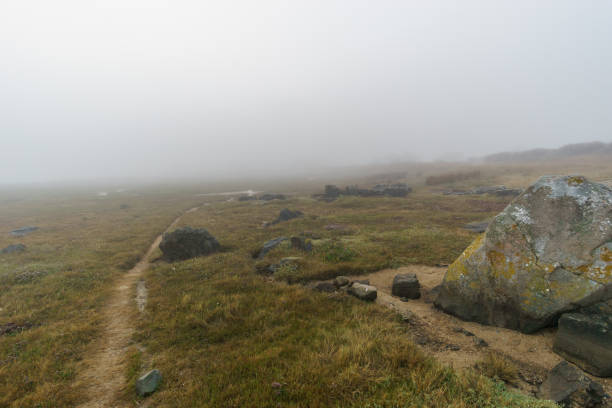 Path with rocks and stones in the fog on a hazy mystic autumn morning with grass in Sillon de Talbert area, Brittany, France stock photo