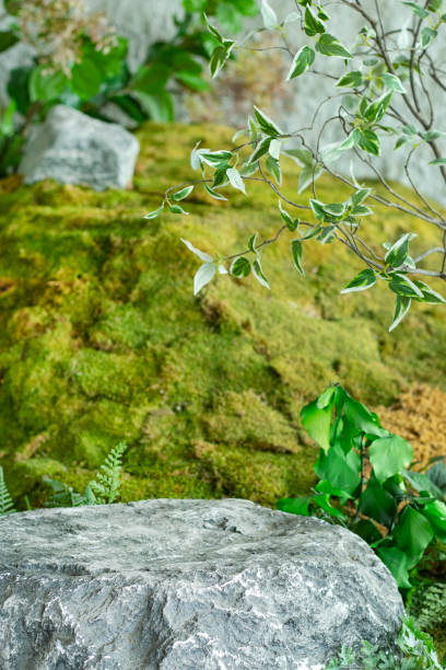 istock a natural stone platform for product photography 1453872045