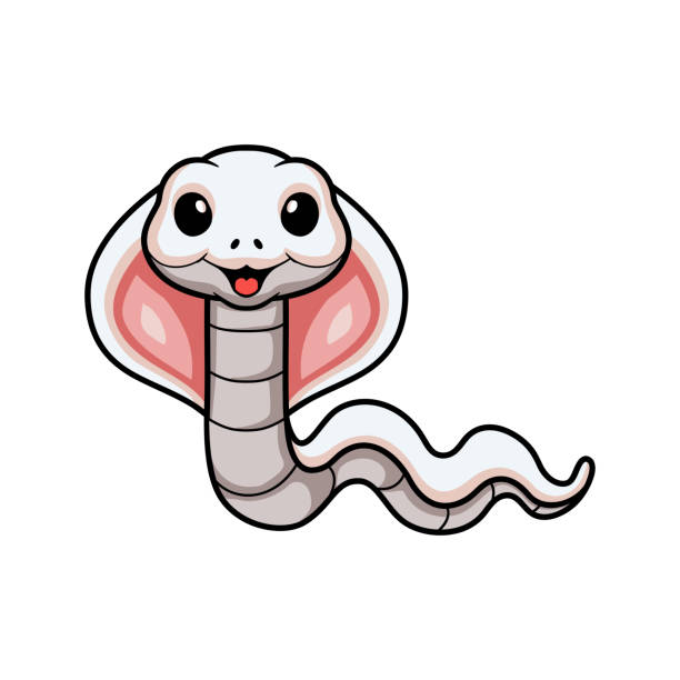 かわいい白血球コブ�ラヘビ漫画 - rat snake illustrations点のイラスト素材／クリップアート素材／マンガ素材／アイコン素材