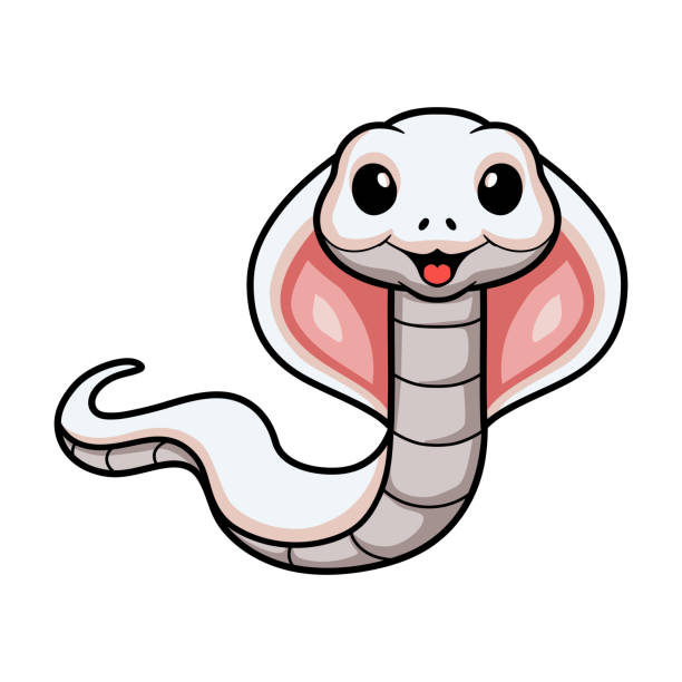 かわいい白血球コブラヘビ漫画 - rat snake illustrations点のイラスト素材／クリップアート素材／マンガ素材／アイコン素材