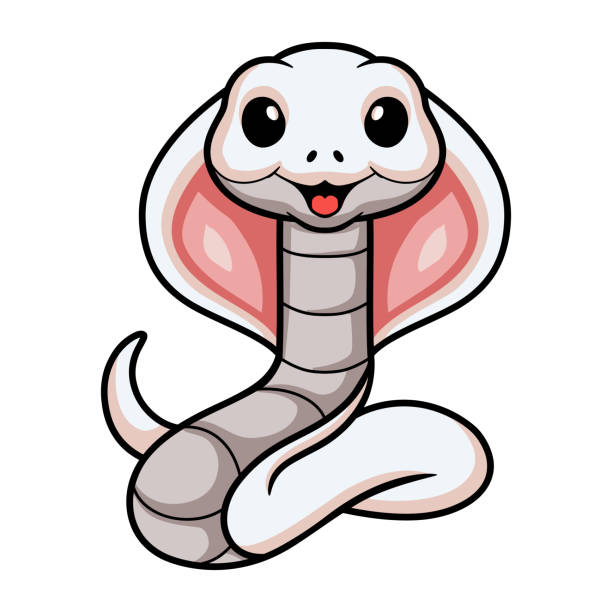 śliczna kreskówka węża kobry leucystycznego - rat snake illustrations stock illustrations