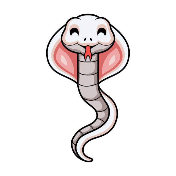 śliczna kreskówka węża kobry leucystycznego - rat snake illustrations stock illustrations