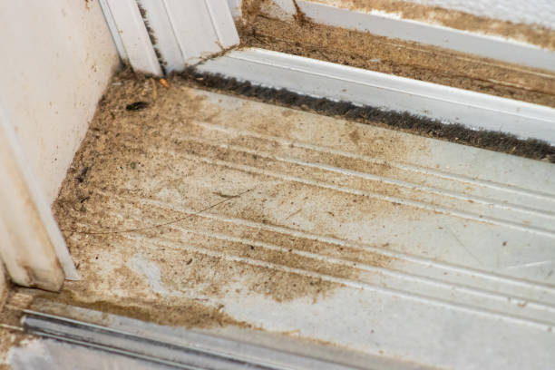istock Sand and clay on exterior door threshold 1453875193