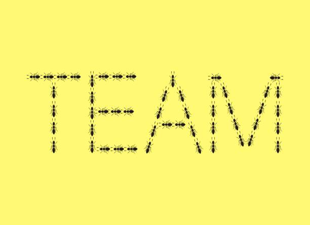 a line of black ants forming the word TEAM vector illustration of a line of black ants forming the word TEAM on white background ants teamwork stock illustrations