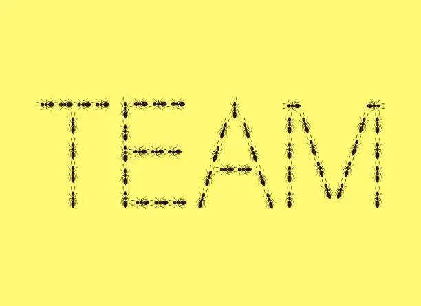 Vector illustration of a line of black ants forming the word TEAM