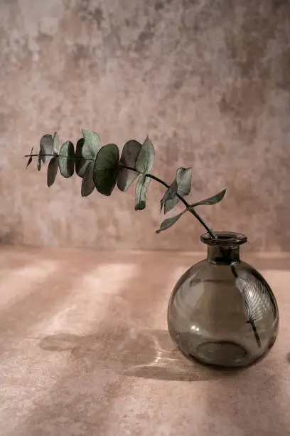 Photo of vase with eucalyptus