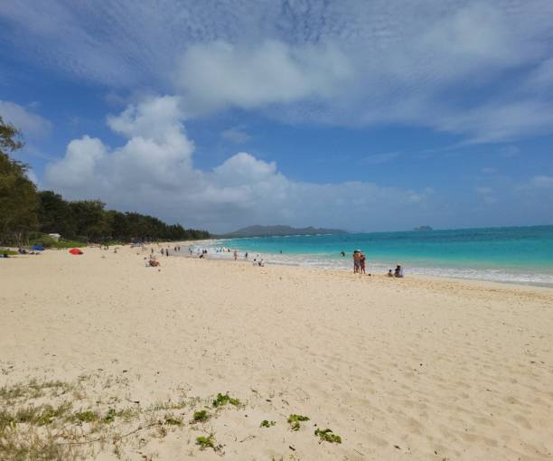 istock Waimanalo Beach on Oahu Hawaii island 1453878590