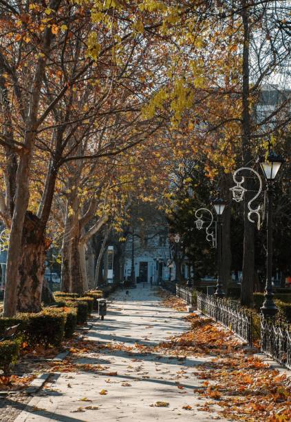 istock Vertical image of an empty park in Liberty square in Budapest, Hungary 1453880172