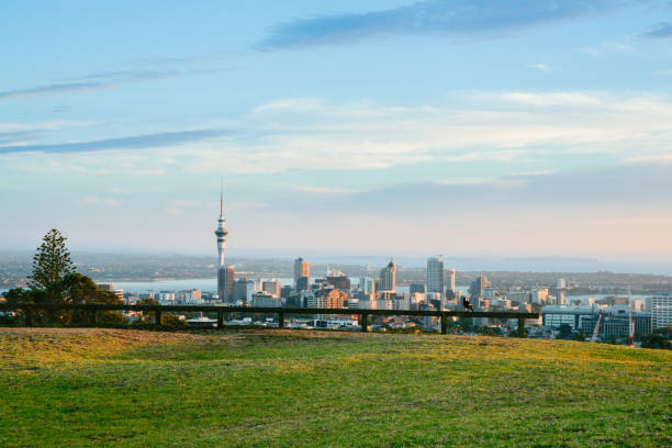 istock Auckland city skyline from top Mount Eden 1453882545