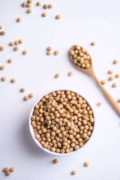 istock Soybean seeds in bowl with spoon 1453885512