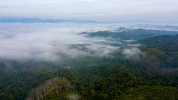 istock Aerial View  Winding Road 1453888262