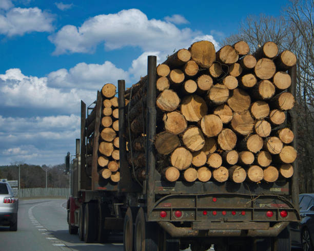 istock Lumber truck on a highway. 1453892956