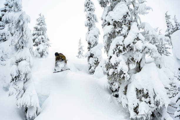 istock Male backcountry snowboarding fresh powder 1453893208