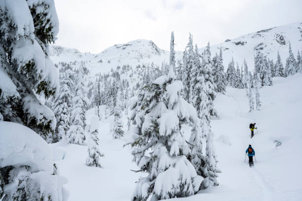 istock Backcountry skiing and snowboarding 1453893240