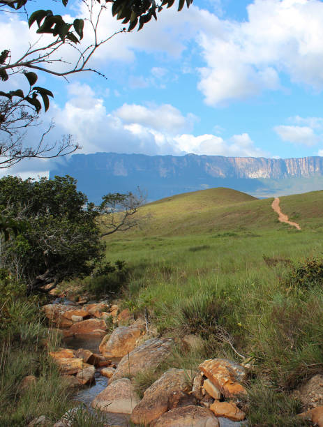 Mount Roraima Trilhas,Tropical,Aventura,Caminhada,Turismo,Viagem,Estrada,Parque Nacional,Mochileiro,Montanha,Natureza,Monte Roraima,Paisagem - Cena Não Urbana,Tepuy,Rocha,Paisagem com nuvens,Beleza natural,Geografia Física,Ao Ar Livre,Céu claro,Nuvem havasu creek stock pictures, royalty-free photos & images