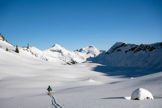 istock Woman splitboarding in the backcountry 1453893852