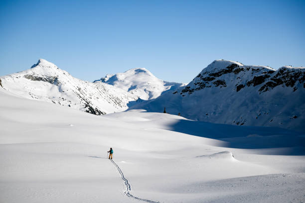 istock Woman splitboarding in the backcountry 1453893861