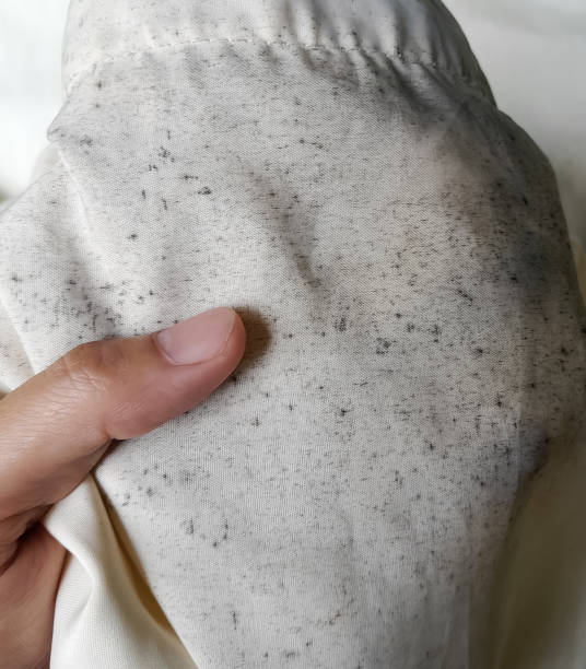 istock moldy black spots on the white mukena 1453896923