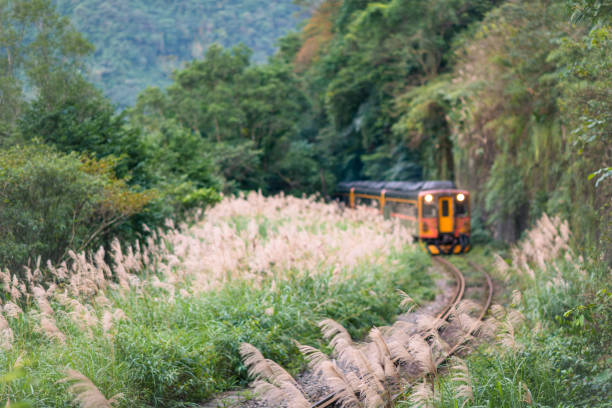 Yellow train is passing through the mountains. Background is out of focus. Sandiaoling Railway Station, Ruifang District, New Taipei City, Taiwan