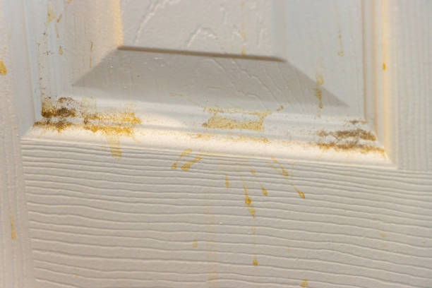 istock Dirt and filth on bathroom door 1453902095