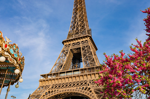 The Eiffel Tower with the view of a nearby carousel and spring bloomed tree.