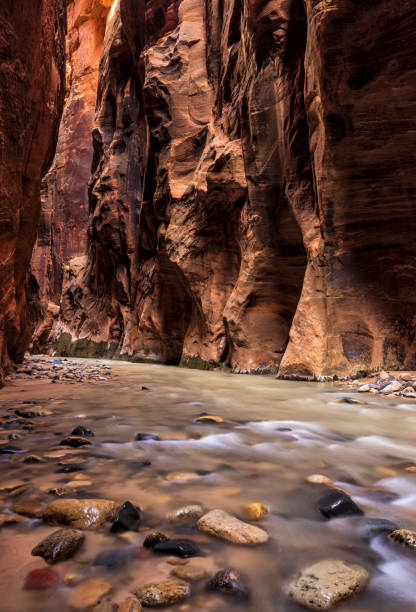 istock Rocky River Road Through the Virgin Narrows 1453912089