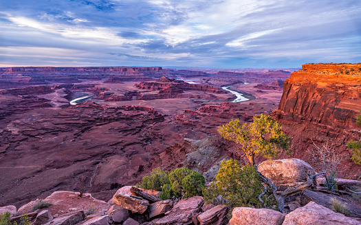 The last light of the day clips a pinyon tree and the mesa tops from Canyonlands Overlook in the Canyon Rims Recreation Area South of Moab, Utah.