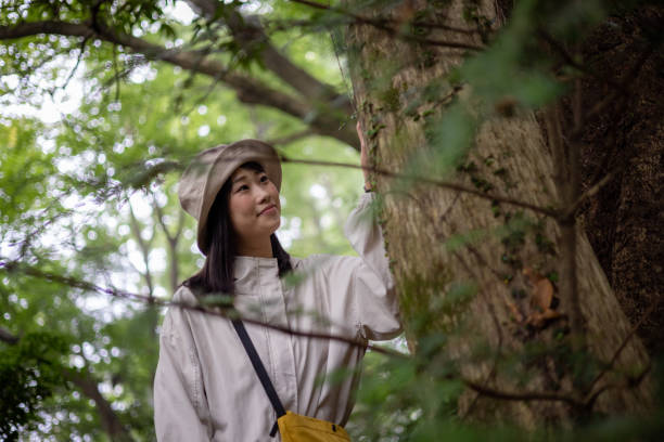 istock Woman enjoying mountain hiking 1453913107