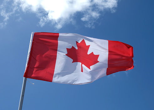 A Canadian flag moving on a windy afternoon. Bright blue sky.