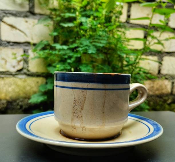 istock Close up Coffee Cup with Plant Background 1453917562