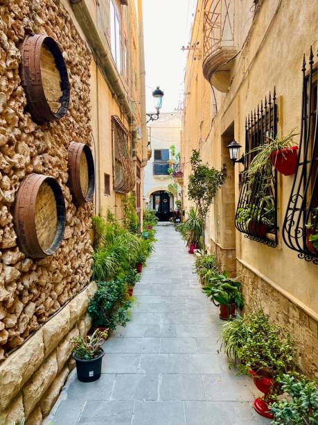 vertical shot of tiny streets of palma de mallorca valldemossa - valldemossa imagens e fotografias de stock