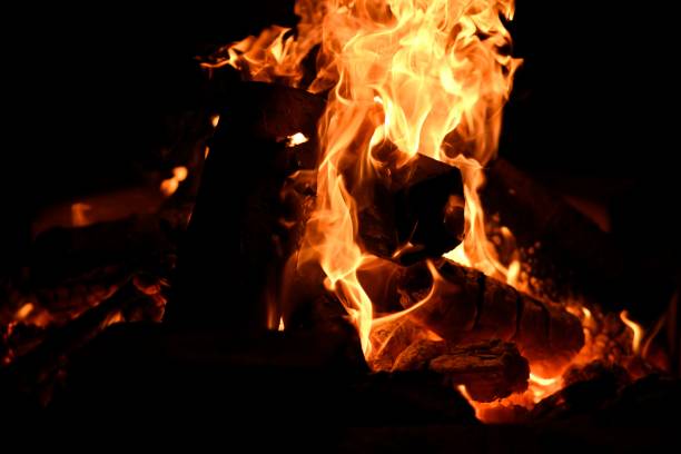 istock Wood burning in bonfire 1453923079