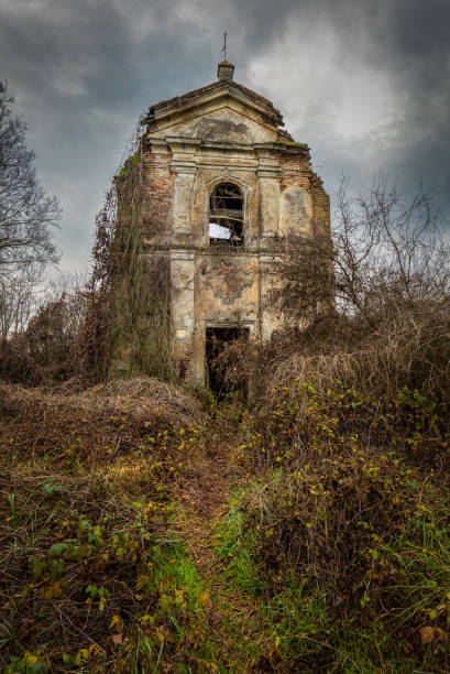 What's old collapses, times change, And new life blossoms in the ruins