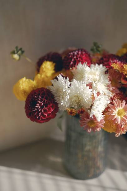 istock Vertical closeup shot of mums (Chrysanthemum) in a vase 1453923340