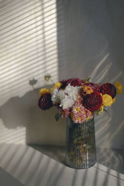 istock Vertical closeup shot of mums (Chrysanthemum) in a vase 1453923355