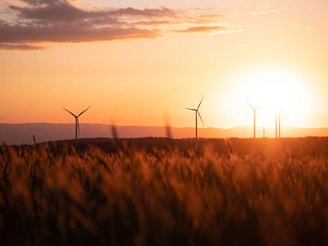 A picturesque view of wind turbines in the field with the bright sun in the background