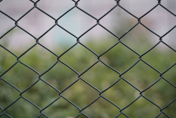 istock Closeup of a mesh wire fence isolated on a blurry background 1453924615