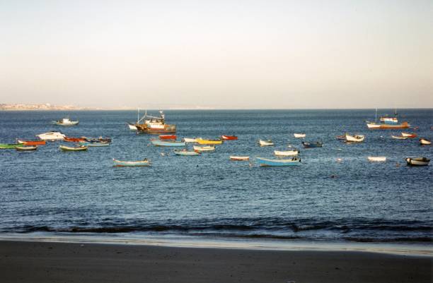 istock Boats and ships on a sea 1453924787