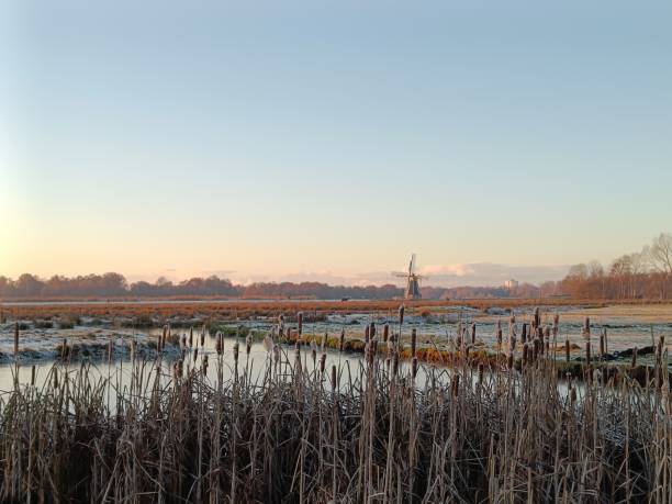istock Field with a lake in the background on a sunny day 1453924795
