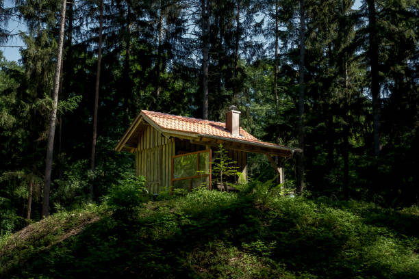 Cabin in the woods