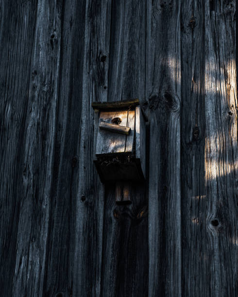 A vertical shot of a birdhouse
