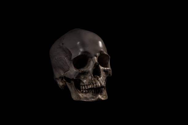 istock Greyscale shot of a skull mask isolated on a black background 1453926678