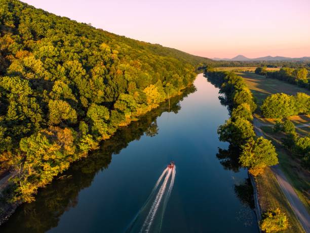 istock Boat floating in a river surrounded by greenery at a pinky sunset 1453927052