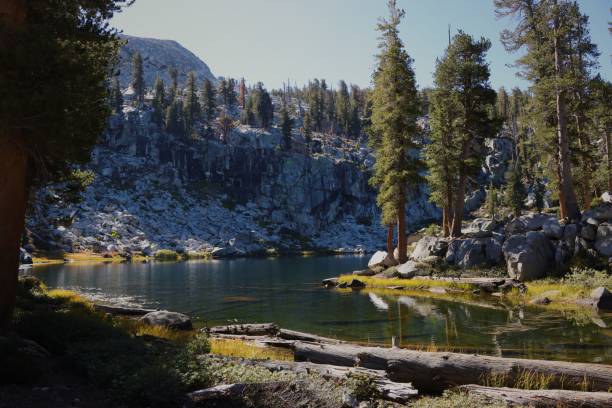 istock Scenic view of a lake trail 1453927075