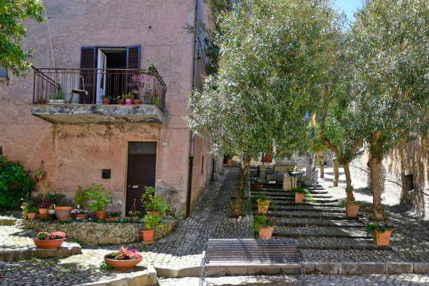 Beautiful street and front yard in the historic town of Sermoneta, central Italy A beautiful street and front yard in the historic town of Sermoneta, central Italy sermoneta stock pictures, royalty-free photos & images