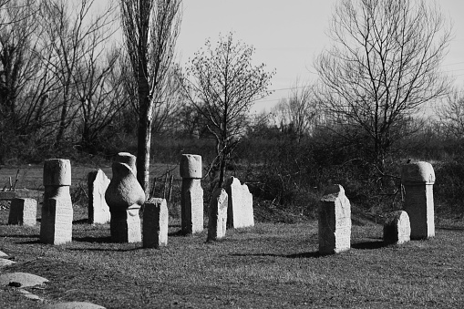 A grayscale shot of an old cemetery with leafless trees