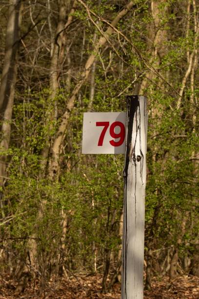 istock Old wooden post with the number 79 1453928247